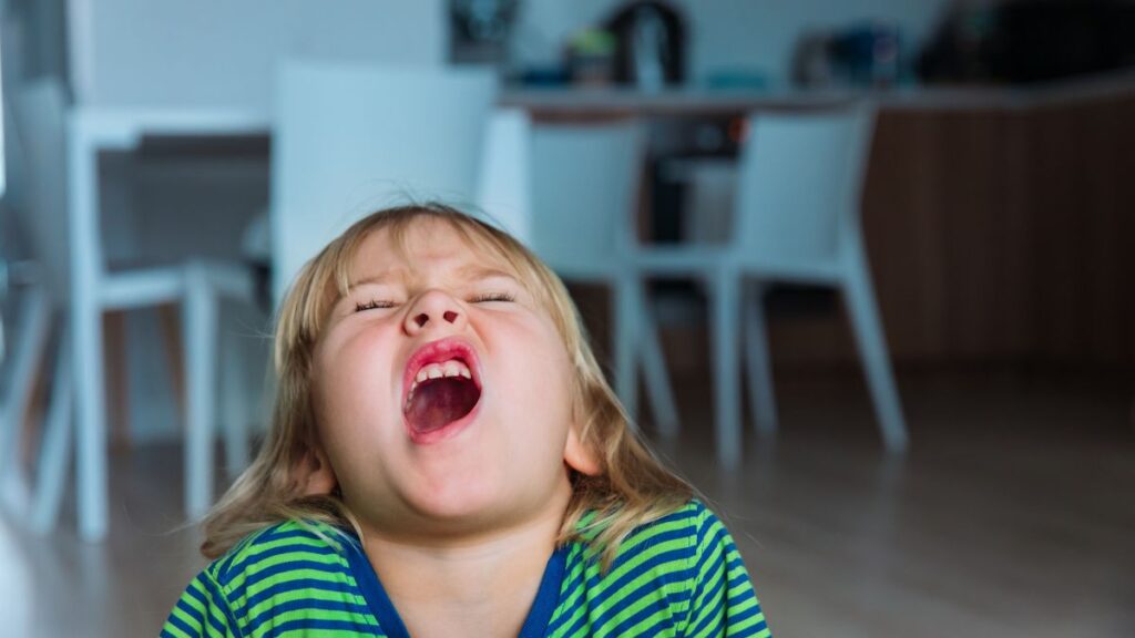 A screaming child having a meltdown