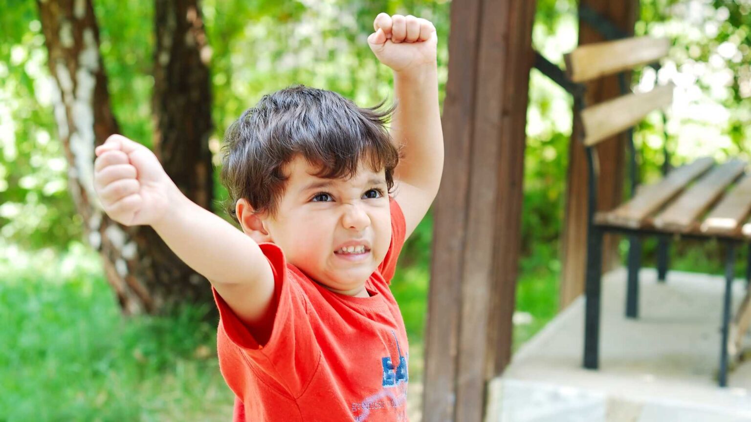 Understanding and Managing Autism and Aggressive Behavior - ABA Centers ...